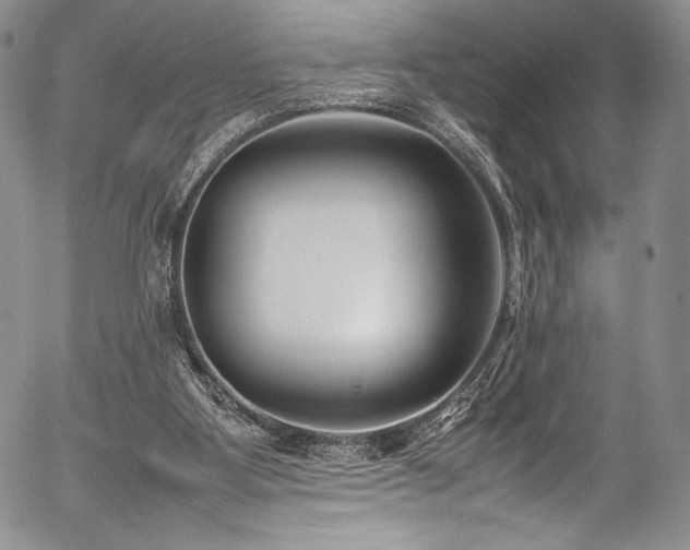 X0000054450107200508011440