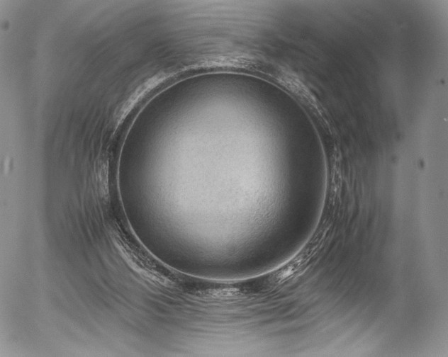 X0000054450108200508011440