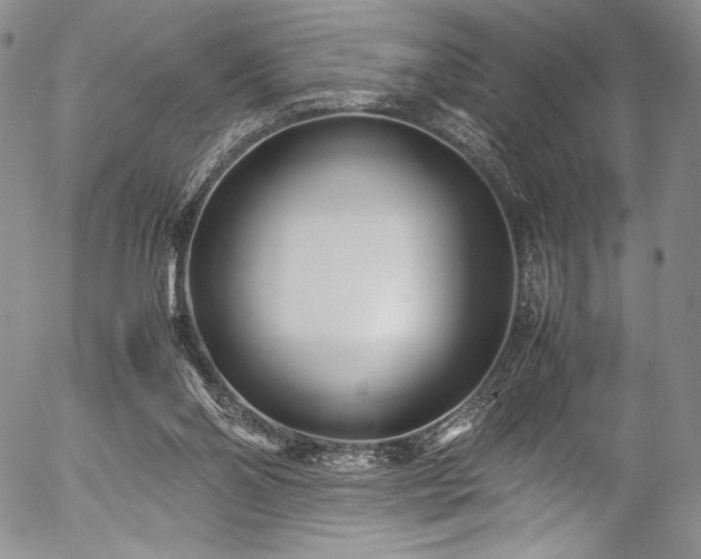 X0000054450110200508011440