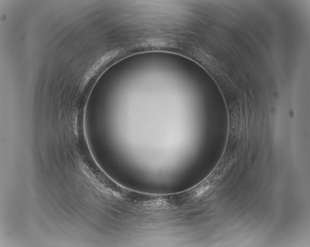 X0000054450112200508011439