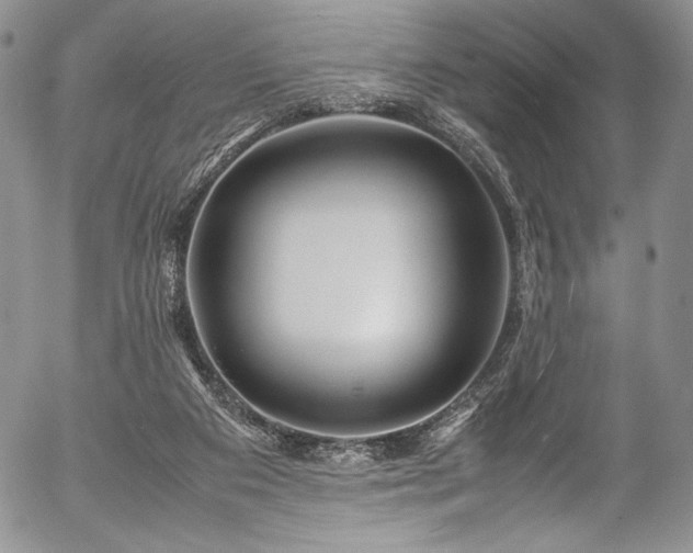 X0000054450113200508011439