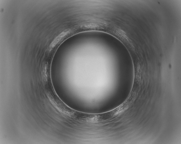 X0000054450116200508011439