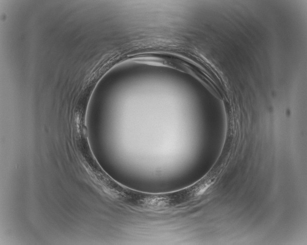 X0000054450117200508011439