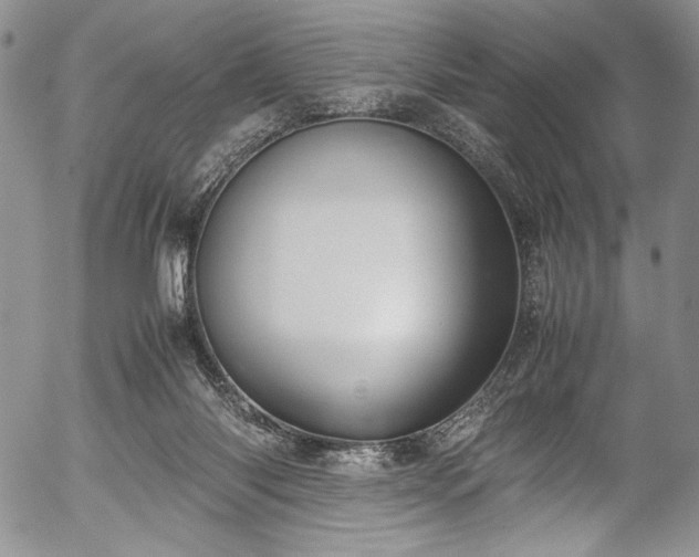 X0000054450118200508011439