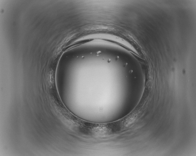X0000054450119200508011439
