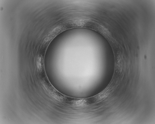 X0000054450122200508011439
