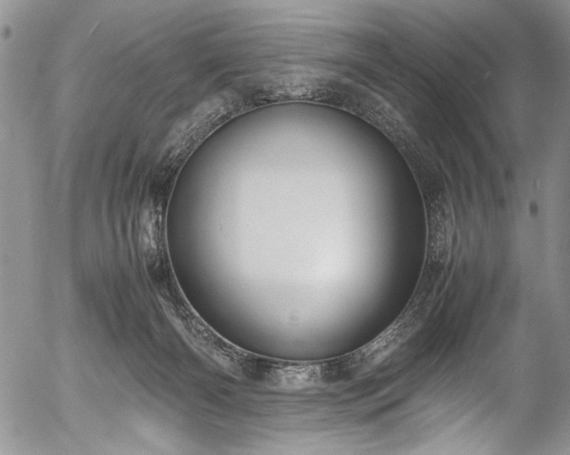 X0000054450126200508011439