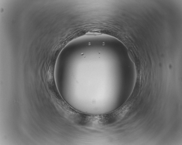 X0000054450131200508011439