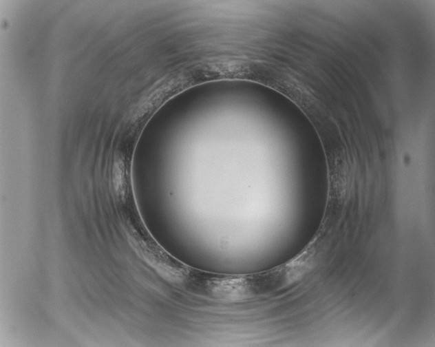 X0000054450132200508011439