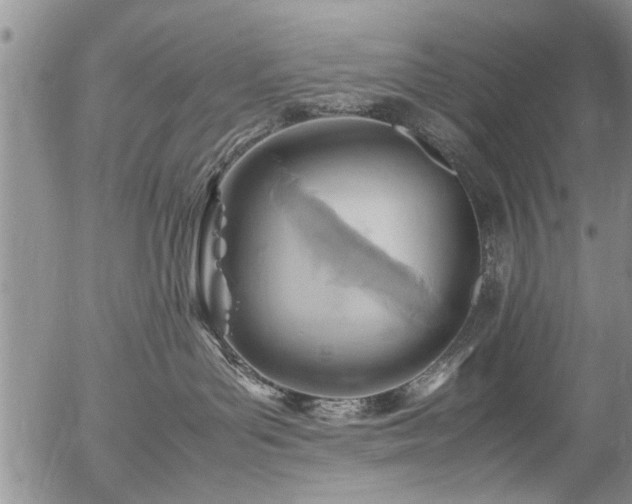 X0000054450143200508011439