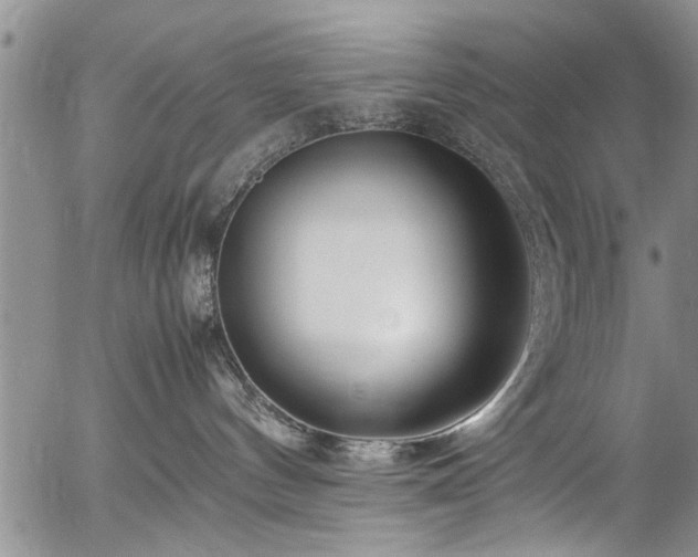 X0000054450144200508011439