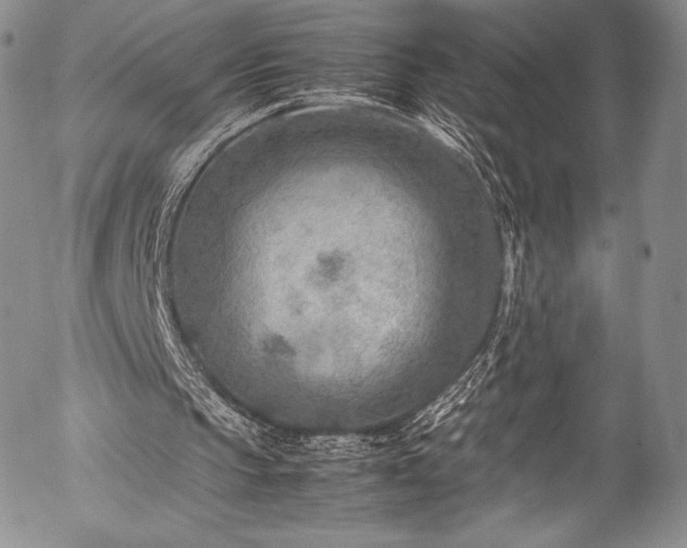X0000054450145200508011438