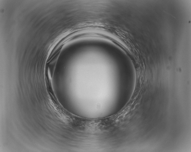 X0000054450148200508011438