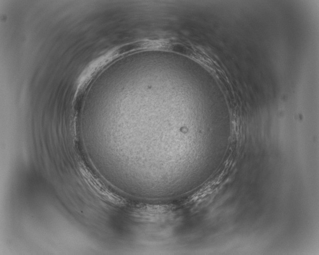 X0000054450149200508011438