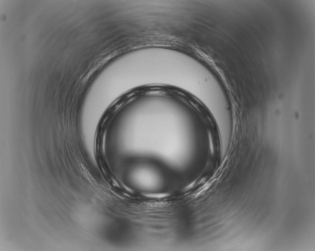 X0000054450154200508011438