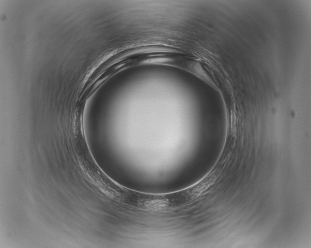 X0000054450156200508011438