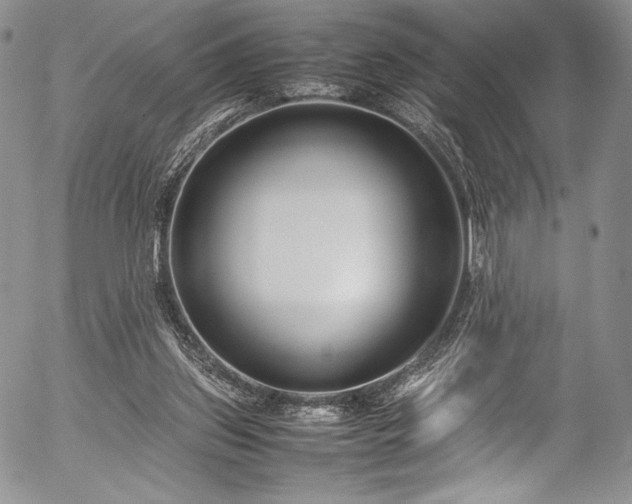 X0000054450157200508011438