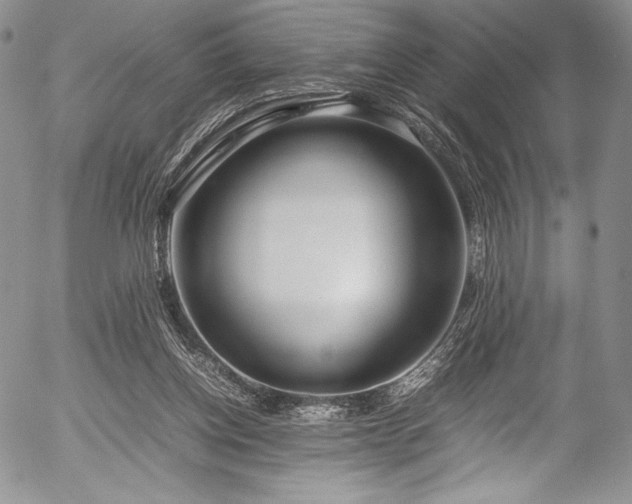 X0000054450158200508011438
