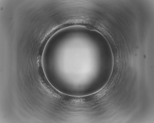 X0000054450160200508011438