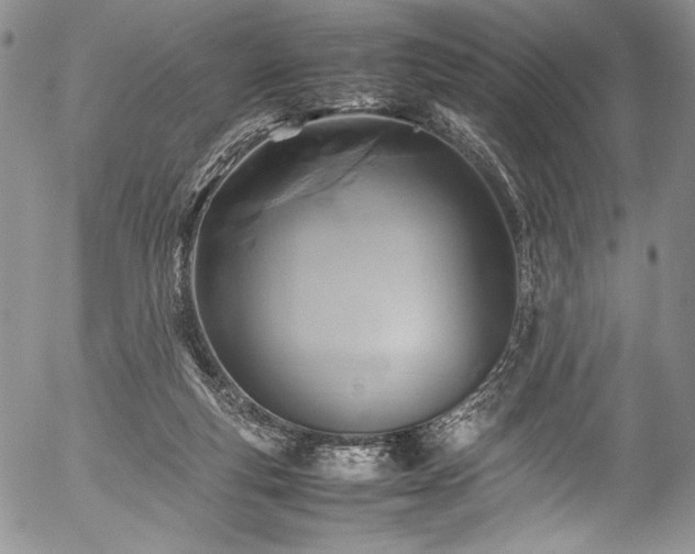 X0000054450163200508011438
