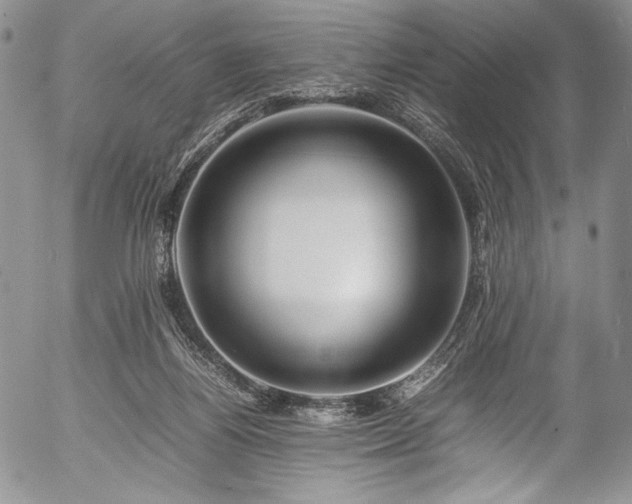 X0000054450164200508011438