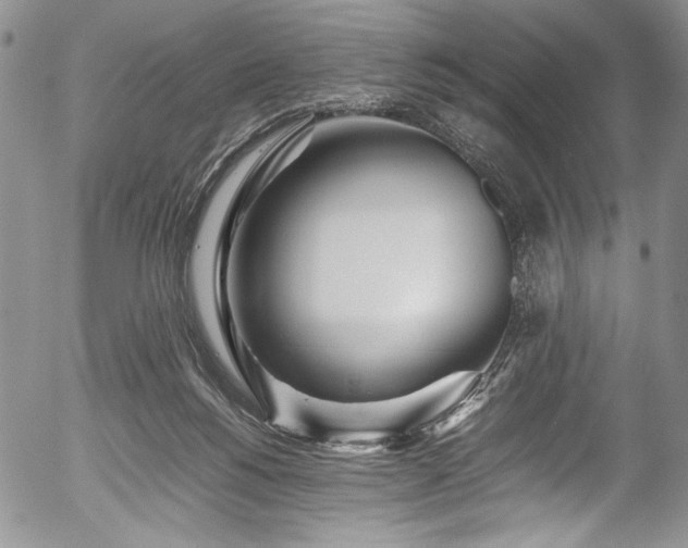 X0000054450168200508011439