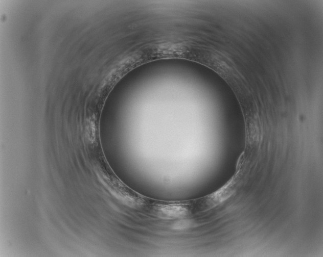 X0000054450183200508011439