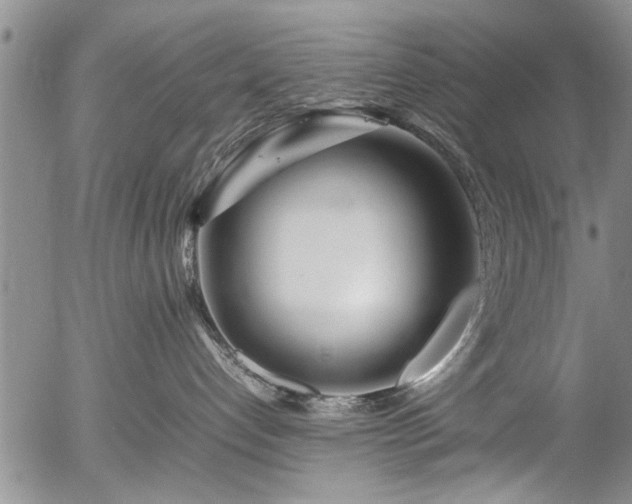 X0000054450192200508011439