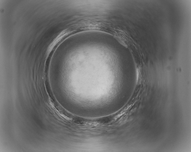 X0000054450195200508011438