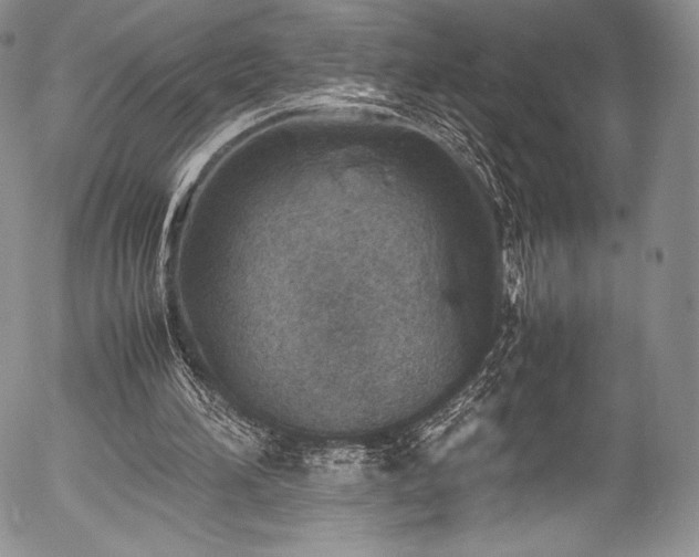 X0000054450196200508011438
