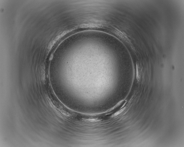 X0000054450204200508011438