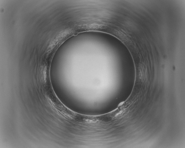 X0000054450206200508011438