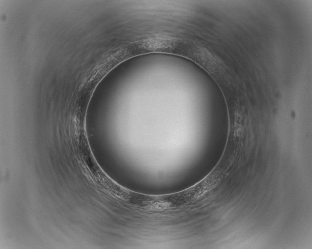 X0000054450210200508011438