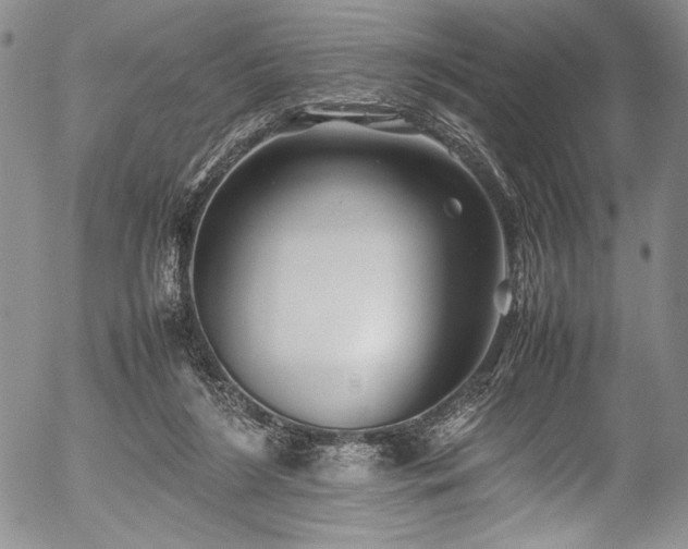 X0000054450212200508011438