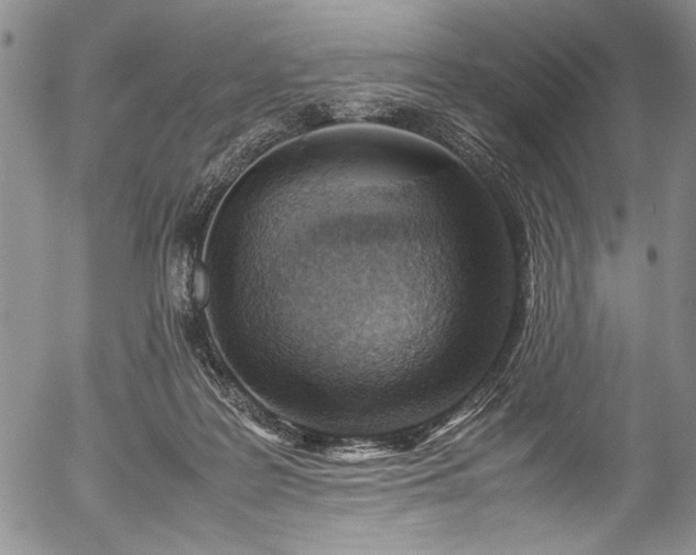 X0000054450219200508011438