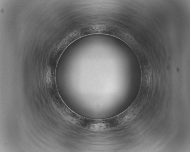 X0000054450220200508011438