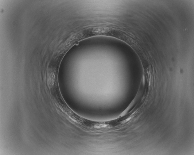 X0000054450227200508011438