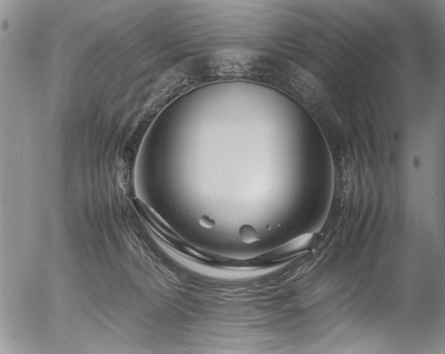 X0000054450228200508011438