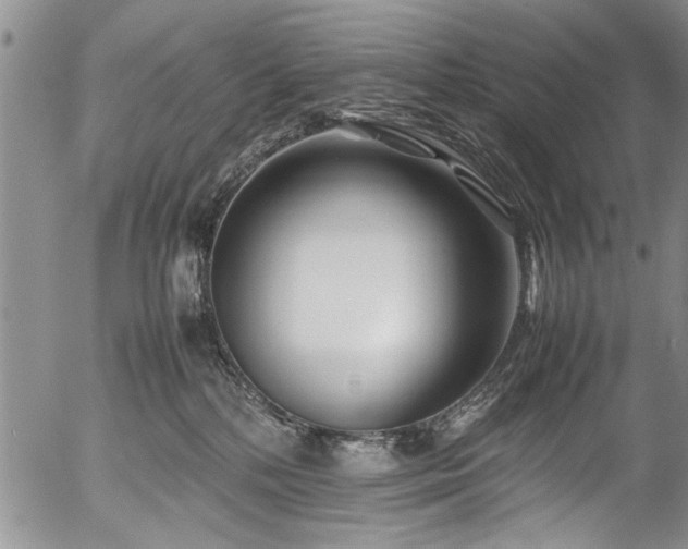 X0000054450232200508011437