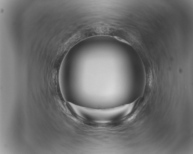 X0000054450233200508011437