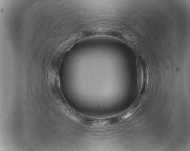 X0000054450235200508011437