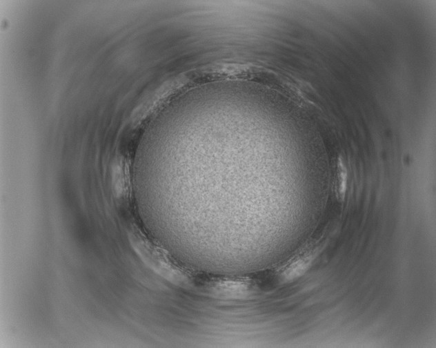 X0000054450236200508011437