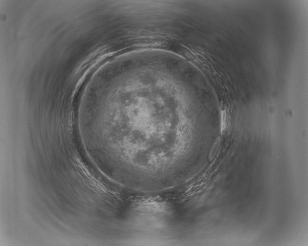 X0000054450243200508011437