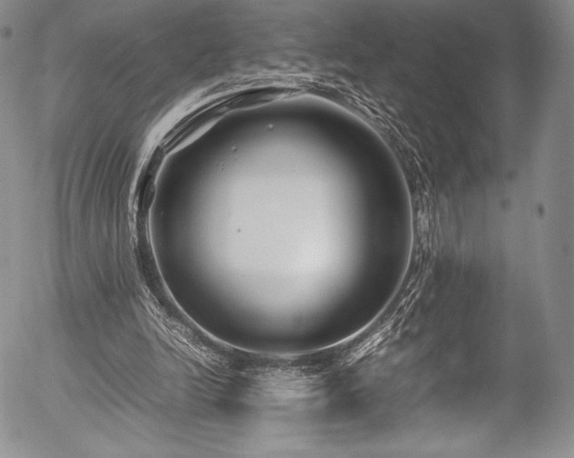 X0000054450246200508011437