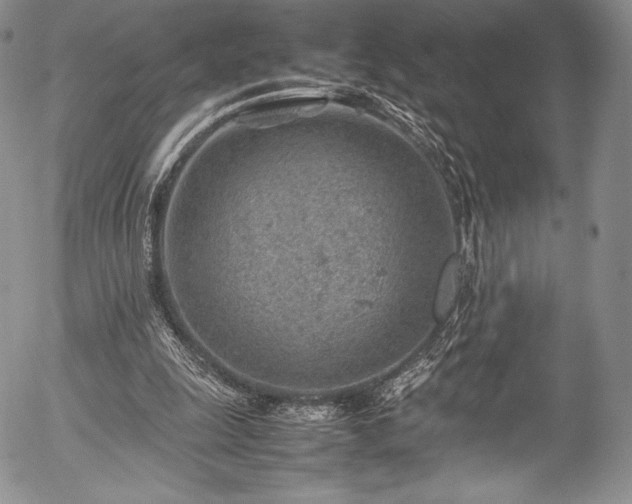 X0000054450247200508011437