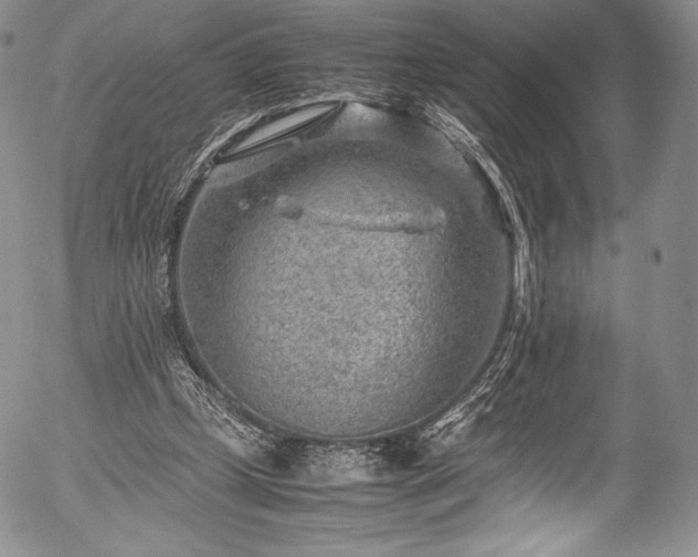 X0000054450249200508011437