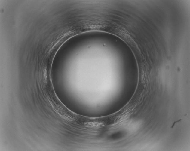 X0000054450251200508011437