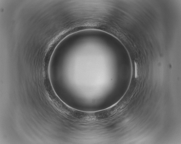 X0000054450252200508011437