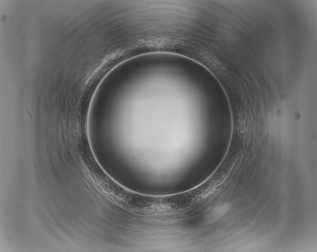 X0000054450256200508011437