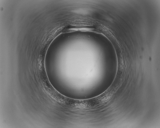 X0000054450259200508011437